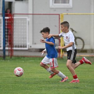 sesvete-bubamara8-010626